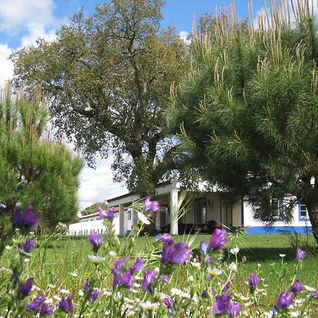 Grândola Monte Das Faias Cork Farm Hotel מראה חיצוני תמונה