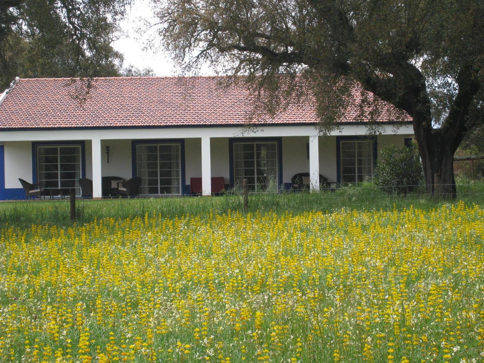Grândola Monte Das Faias Cork Farm Hotel מראה חיצוני תמונה