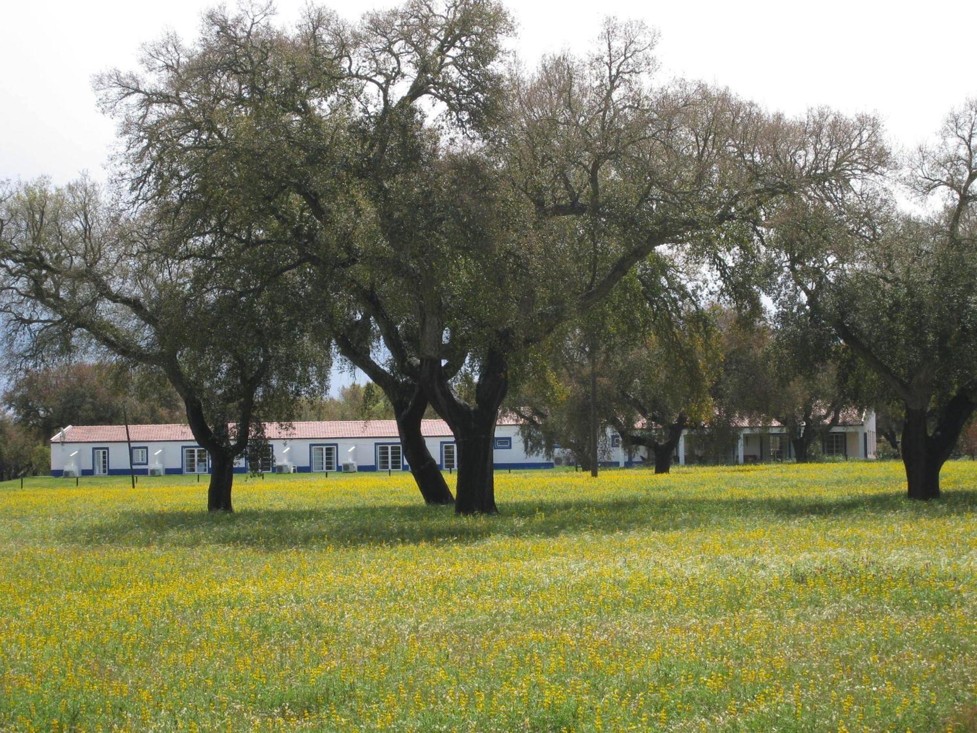 Grândola Monte Das Faias Cork Farm Hotel מראה חיצוני תמונה
