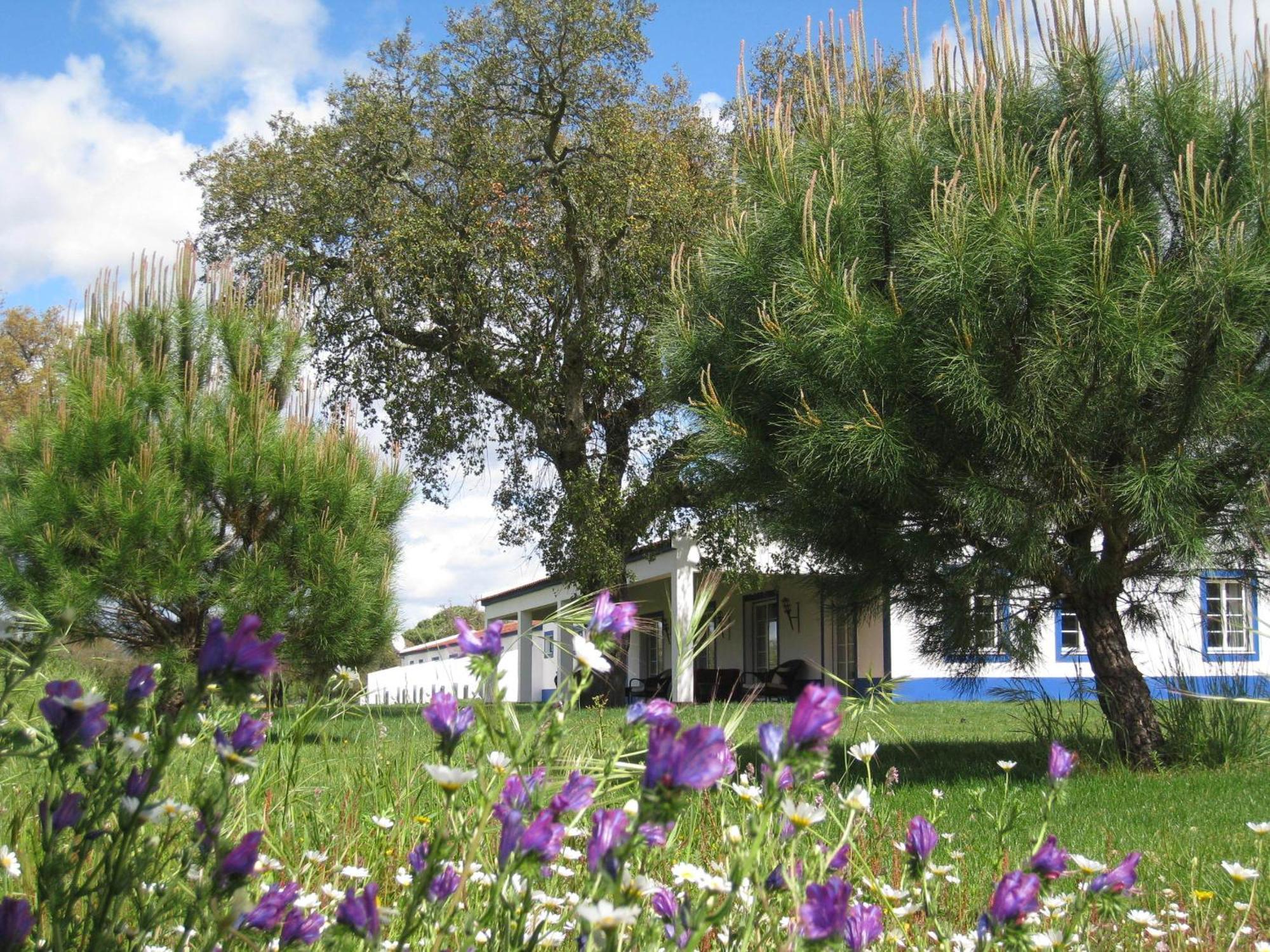 Grândola Monte Das Faias Cork Farm Hotel מראה חיצוני תמונה