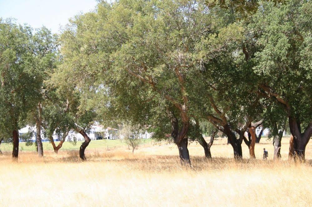 Grândola Monte Das Faias Cork Farm Hotel מראה חיצוני תמונה