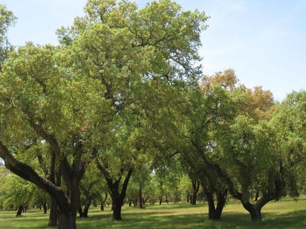 Grândola Monte Das Faias Cork Farm Hotel מראה חיצוני תמונה